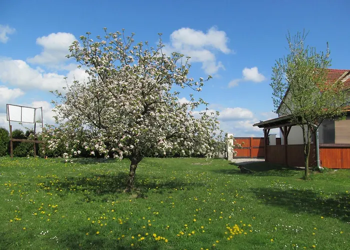 Pension Otevek