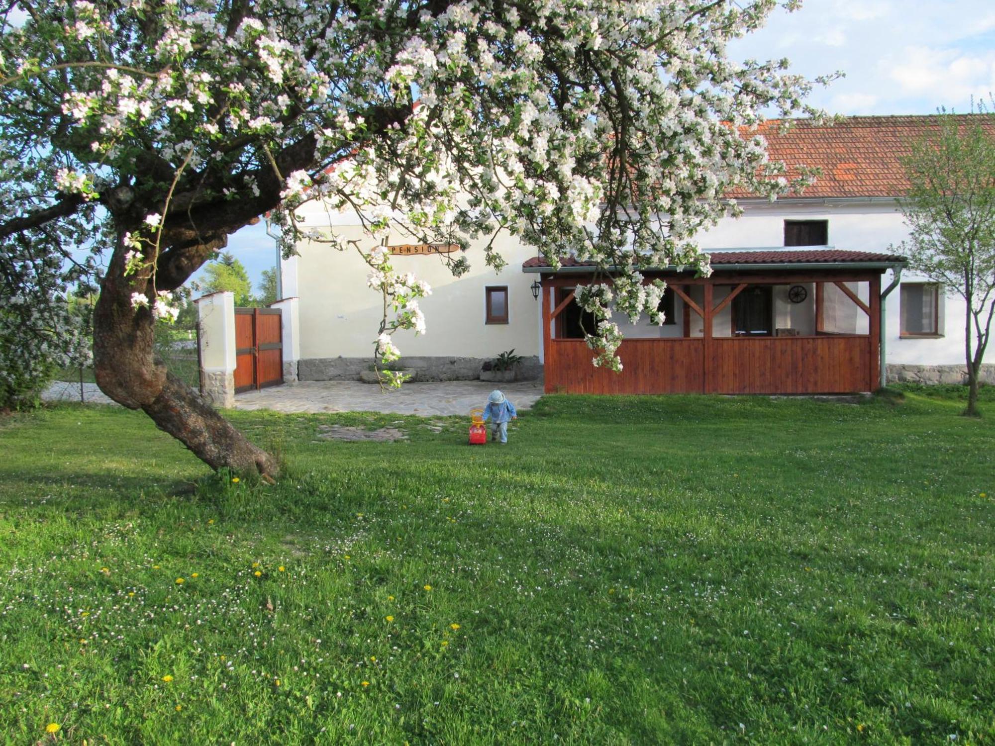 Otevek Apartment